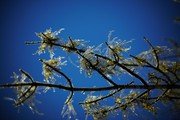 Погода и природа: 