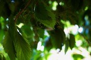 Погода и природа: 