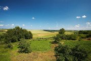 Погода и природа: 