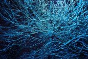 Погода и природа: 